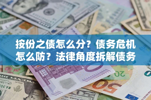 武汉按份之债怎么分？债务危机怎么防？法律角度拆解债务分配与风险自保指南