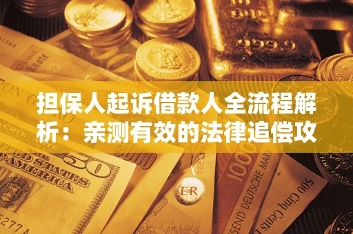 武汉担保人起诉借款人全流程解析：亲测有效的法律追偿攻略