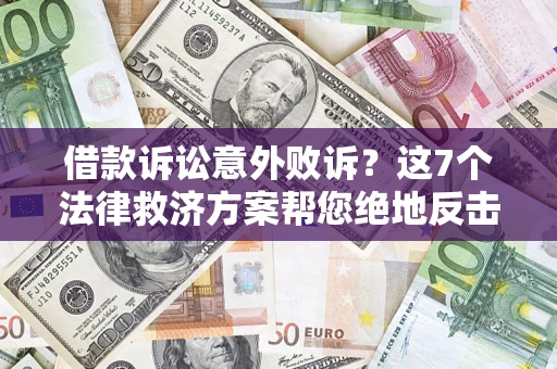 武汉借款诉讼意外败诉？这7个法律救济方案帮您绝地反击！