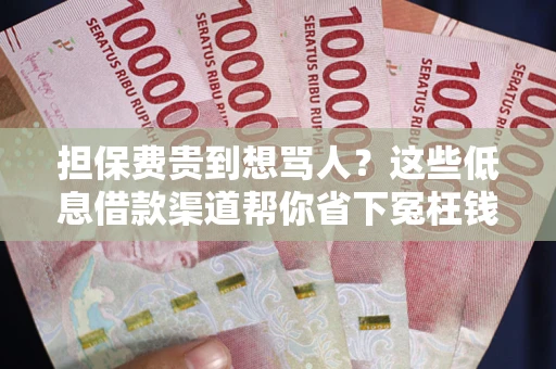 武汉担保费贵到想骂人？这些低息借款渠道帮你省下冤枉钱