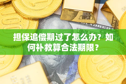 武汉担保追偿期过了怎么办？如何补救算合法期限？