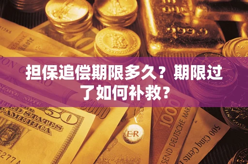 武汉担保追偿期限多久？期限过了如何补救？