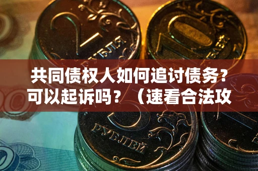 武汉共同债权人如何追讨债务？可以起诉吗？（速看合法攻略）