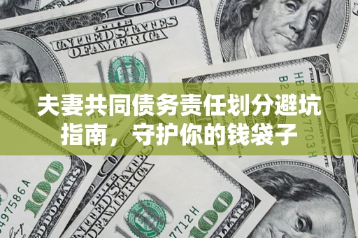 武汉夫妻共同债务责任划分避坑指南，守护你的钱袋子