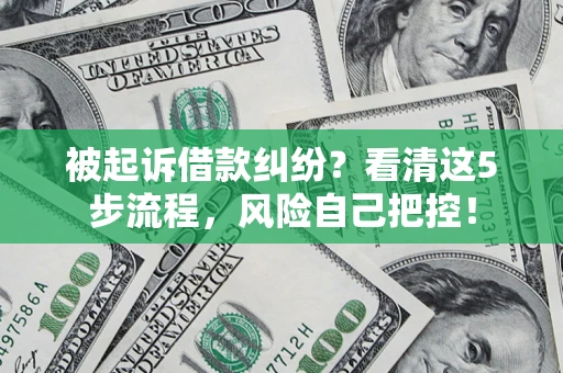 武汉被起诉借款纠纷？看清这5步流程，风险自己把控！