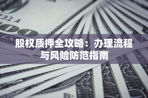 武汉股权质押全攻略：办理流程与风险防范指南